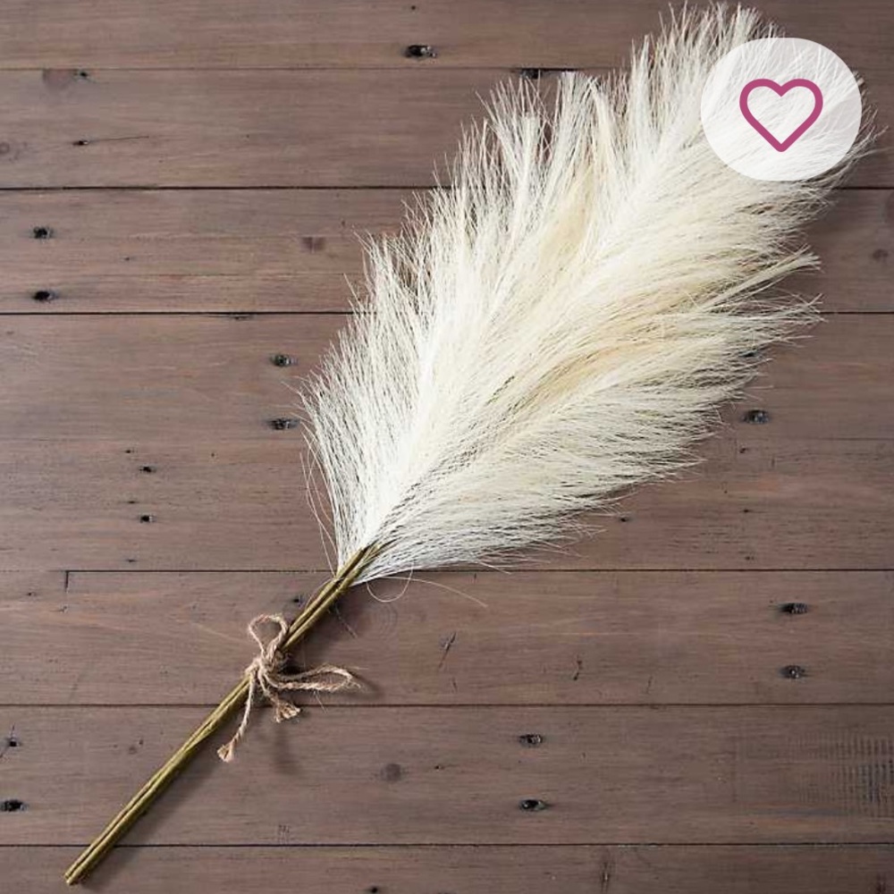 Hello, Welcome to our closet! 😊